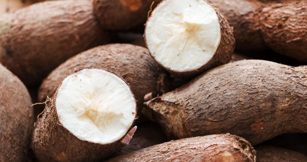 Cassava Tuber for Making Swallow